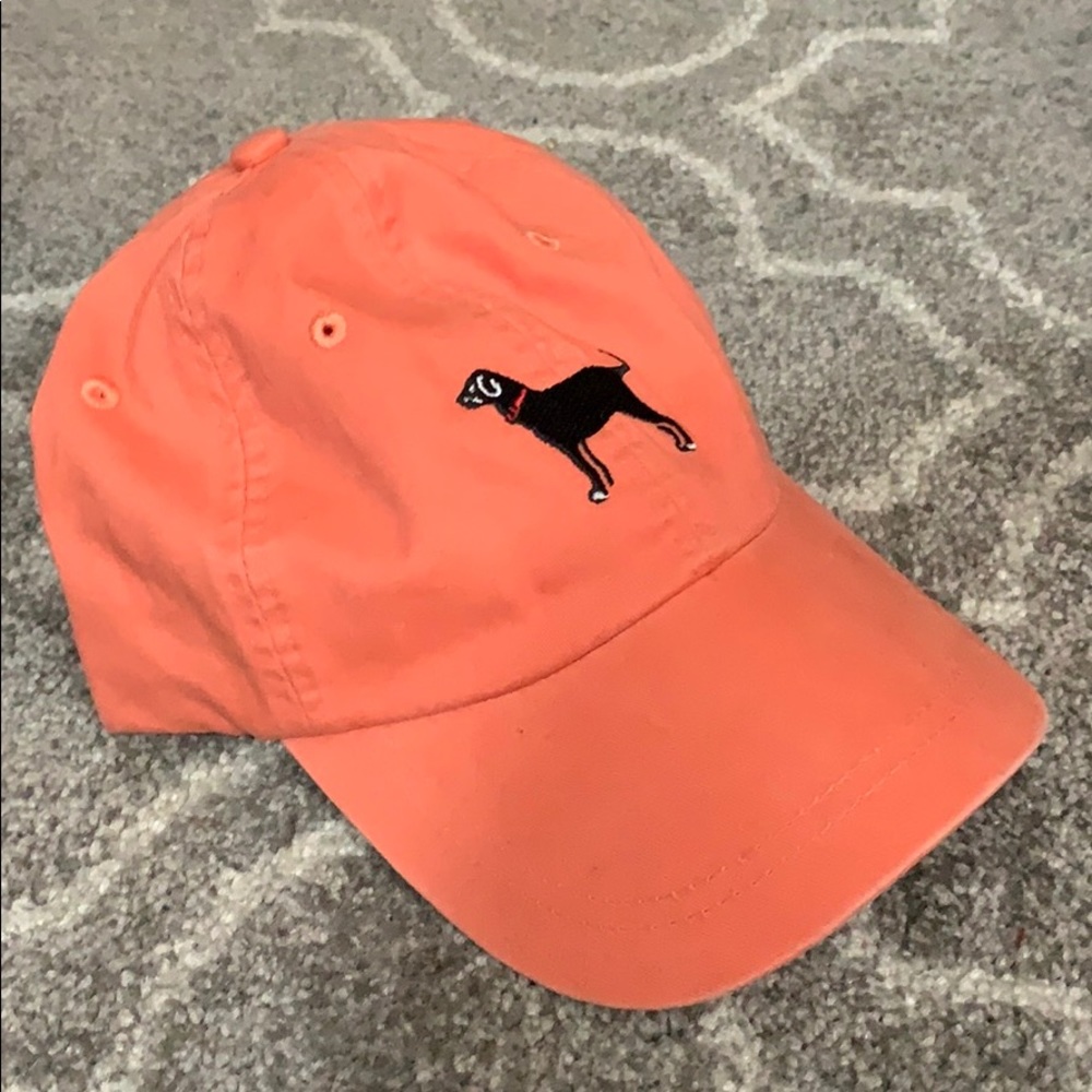 The Black Dog Baseball Hat
